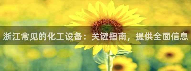 新航娱乐公司扣费流程详解表格