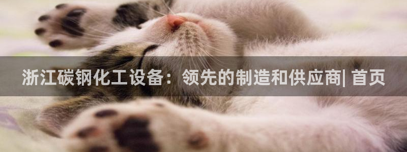 新航娱乐集团最新消息官网
