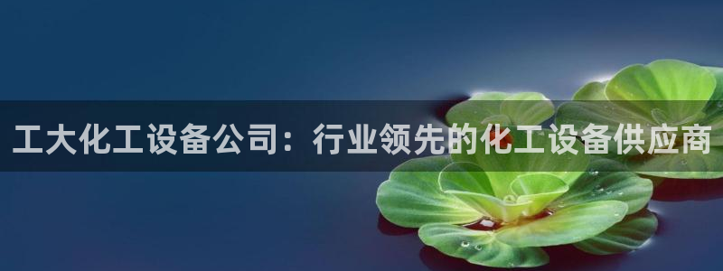 新航娱乐app的最新版本更新内容