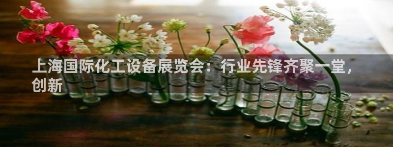 新航娱乐公司扣费流程详解视频