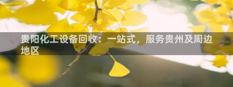 新航娱乐app的最新版本更新内容