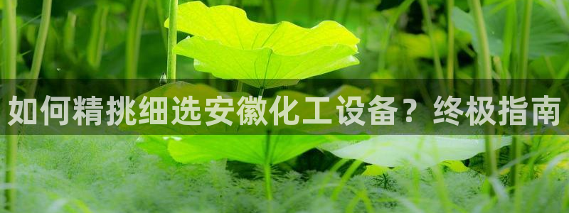 新航娱乐背后的老板