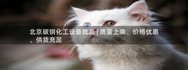 新航娱乐公司简介和历史背景介绍
