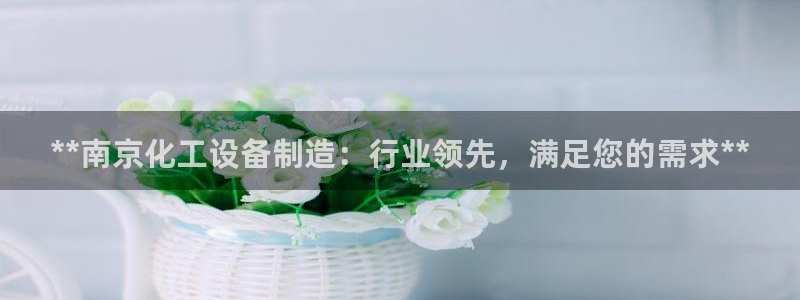 新航娱乐公司简介和历史背景介绍