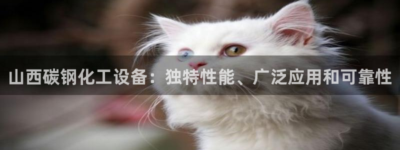 新航娱乐公司简介和历史背景怎么写