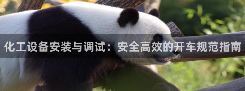 新航娱乐安卓版下载