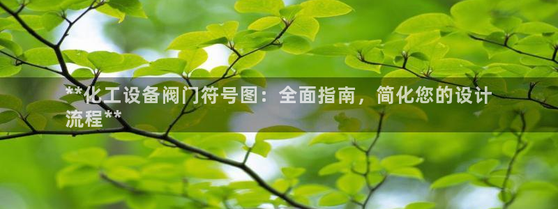 新航娱乐雀7IIII2联他前：**化工设备阀门符号