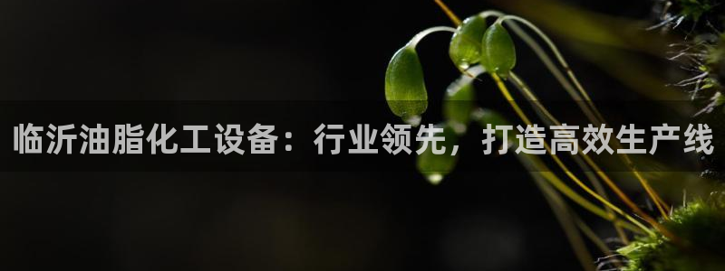 新航娱乐公司简介和历史背景