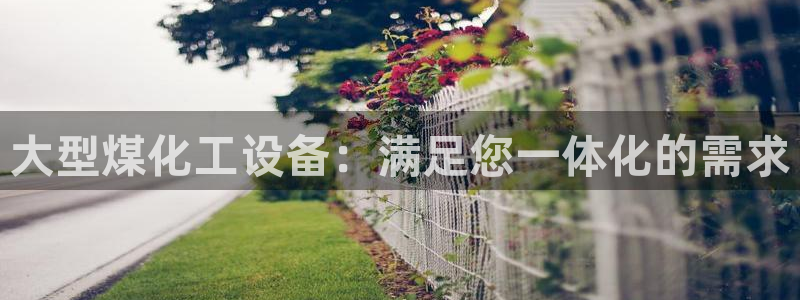 新航娱乐的会员权益与保障是什么：大型煤化工设备：满