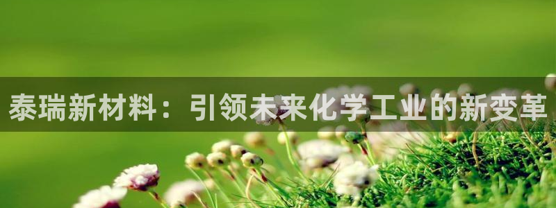 新航娱乐旗下艺人名单表