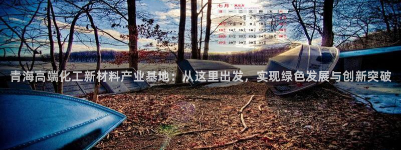 新航娱乐扣款921.8元是怎么回事：青海高端化工新