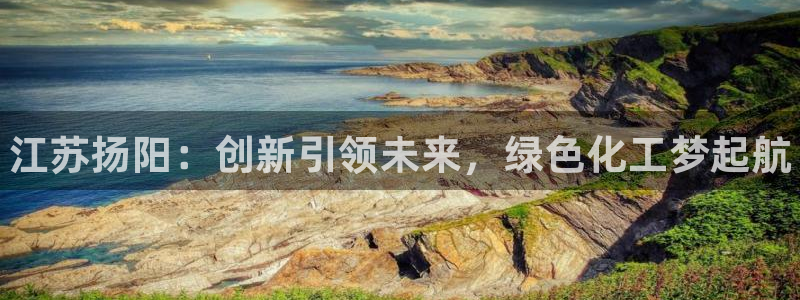 新航娱乐公司扣费流程详解表最新：江苏扬阳：创新引领