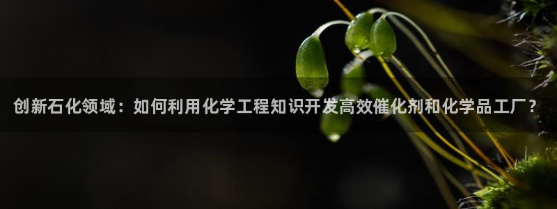 新航娱乐扣款详情怎么看