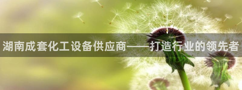 新航娱乐集团最新消息今天：湖南成套化工设备供应商——打造行业