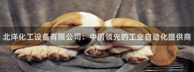 新航娱乐app官方免费下载安卓