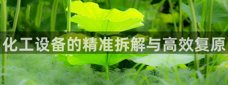 新航娱乐集团最新消息