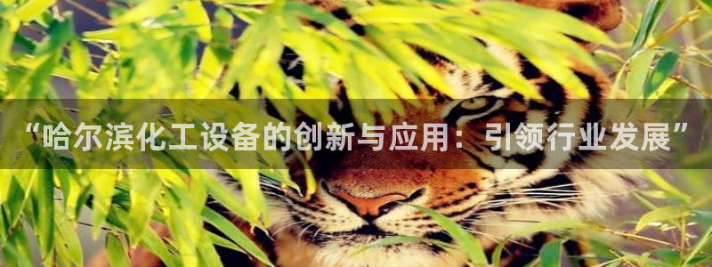 新航娱乐app最新版本更新内容是什么样的