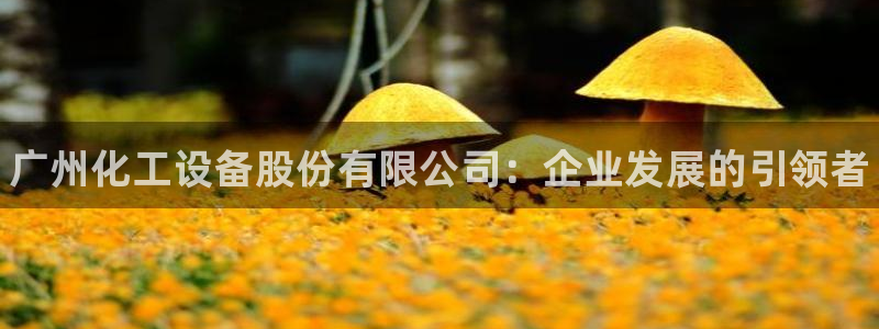 新航娱乐app手机版特色功能介绍在哪：广州化工设备