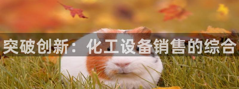 新航娱乐账号注册和账号详情