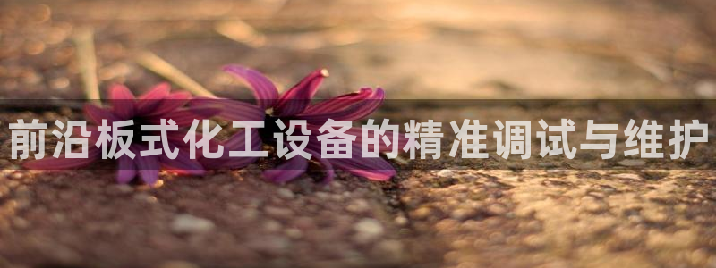 新航娱乐app官方免费下载安卓：前沿板式化工设备的